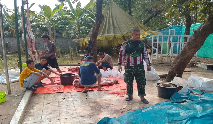 Masjid Asy-Syuhada Semper Barat Sembelih 5 Sapi dan 23 Kambing Kurban, Distribusi Daging Tanpa Kupon untuk Warga