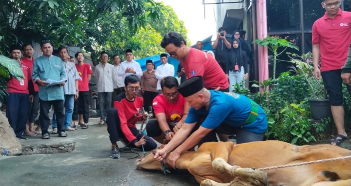 PMI Jakarta Utara Pastikan Distribusi Kurban Tepat Sasaran dengan Sistem Door to Door