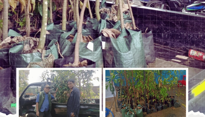 Sudin KPKP Jakarta Utara Bergerak Hijaukan Sukapura, Hj. Neneng Hasanah Pastikan Bantuan Pohon Tersalurkan Merata